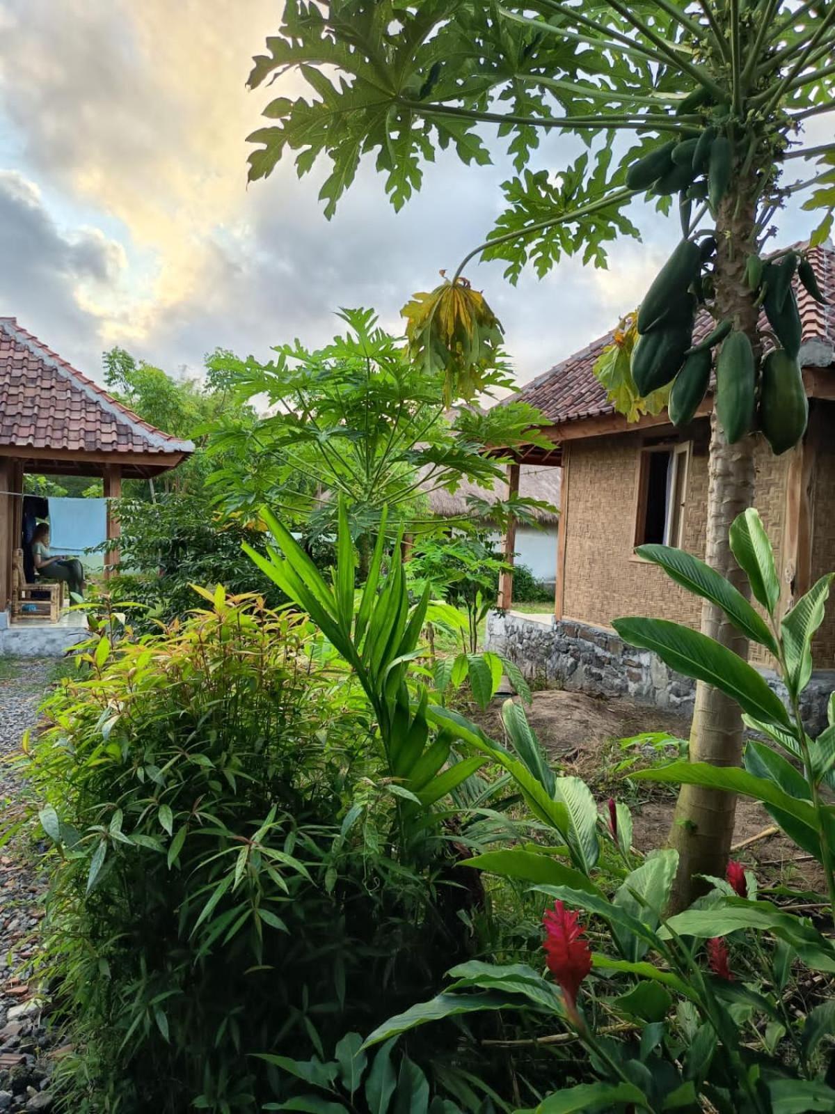 Hotel Melody Surf - Ekas Lombok Esterno foto