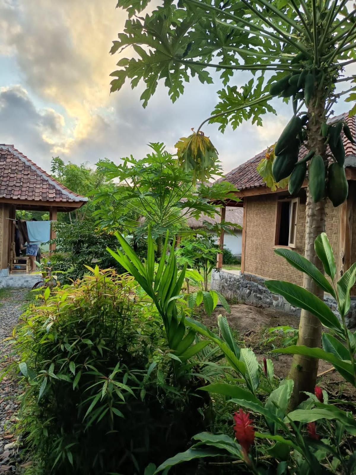 Hotel Melody Surf - Ekas Lombok Esterno foto